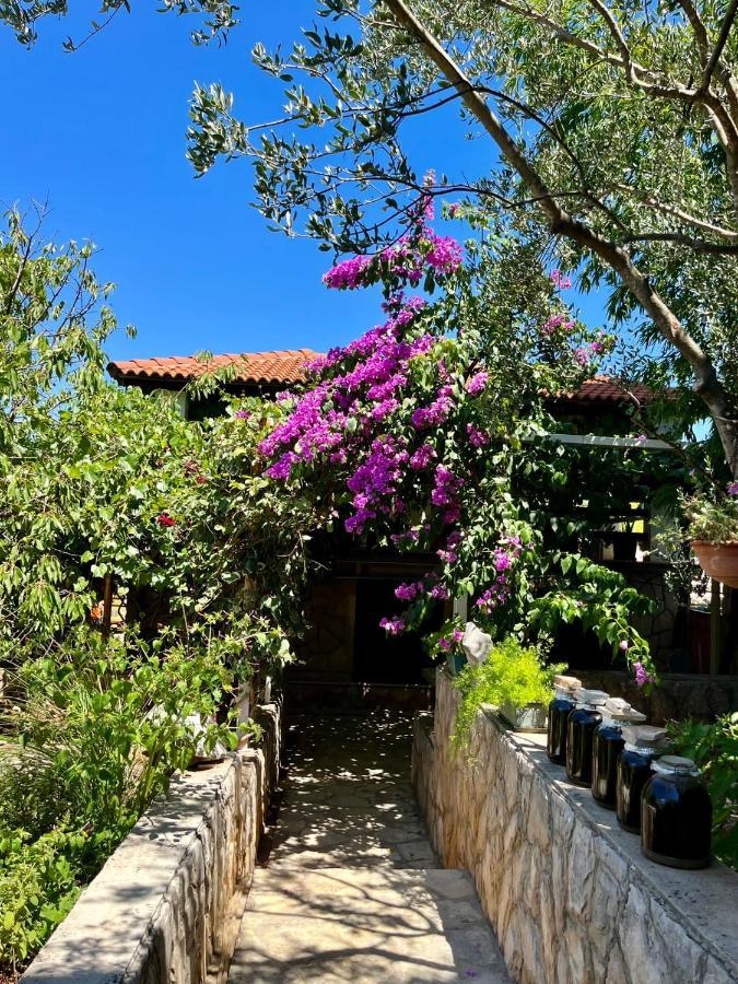 Gorana Apartman With Swimming Pool Apartment Jelsa  Exterior foto