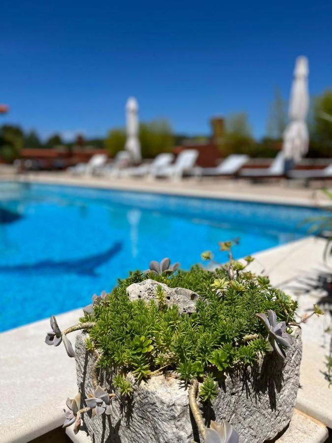 Gorana Apartman With Swimming Pool Apartment Jelsa  Exterior foto